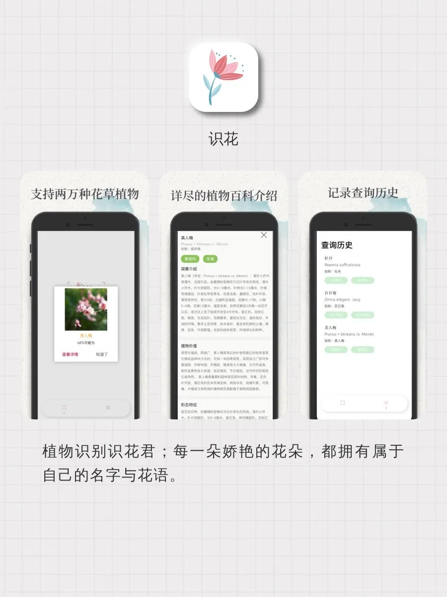 诸君看👀小众又实用的app