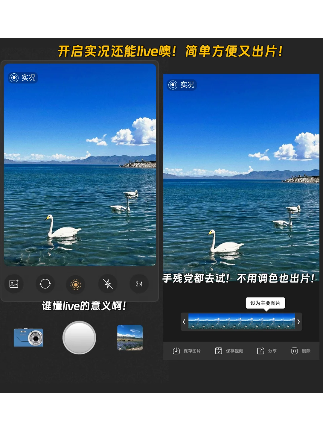 蹲到了！安卓手机📱自己的dazz！！