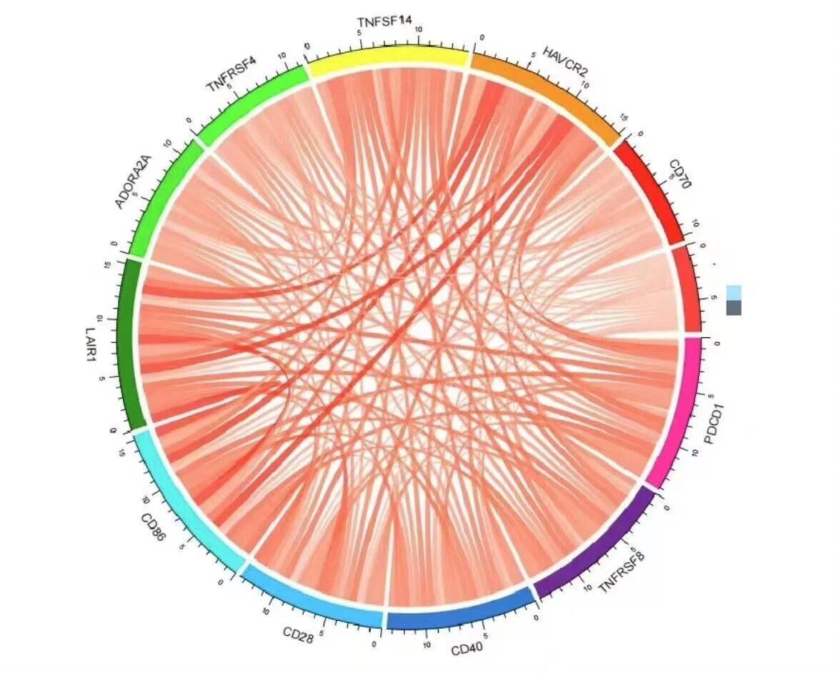 8k买的单细胞测序代码，分享给大家允许白嫖