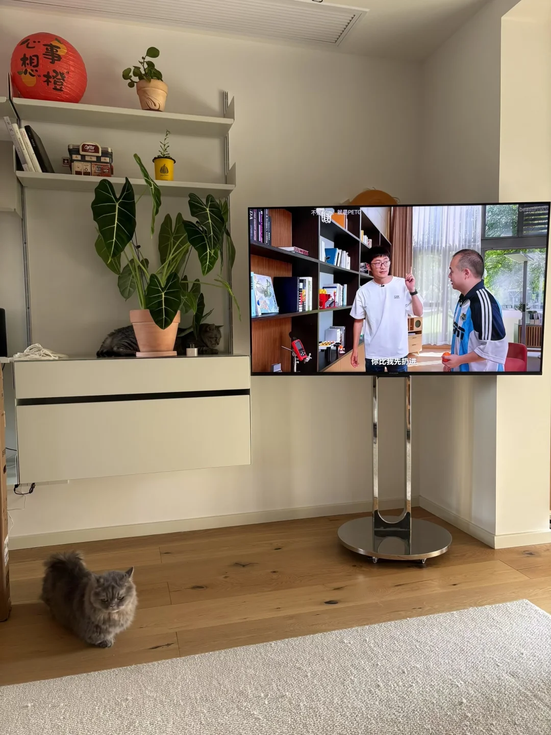 求一个可以看CCTV直播的软件