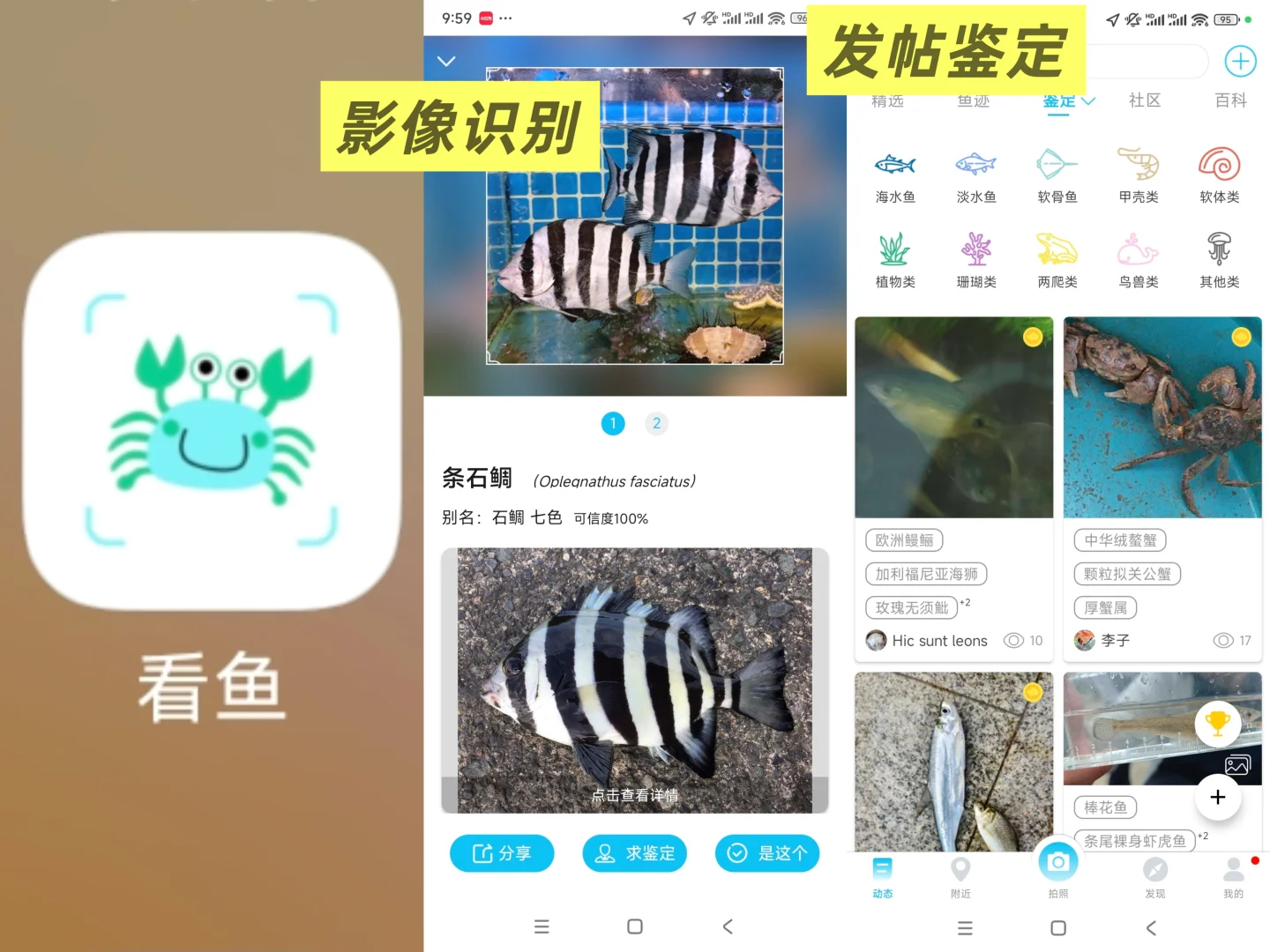 【软件推荐】如何查找一种动植物叫什么？