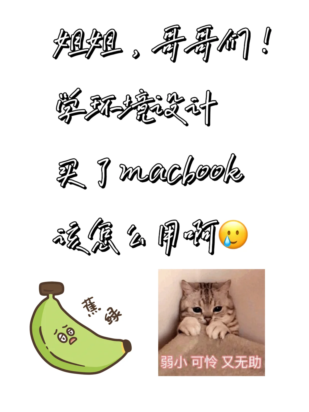 求软件，玩法推荐