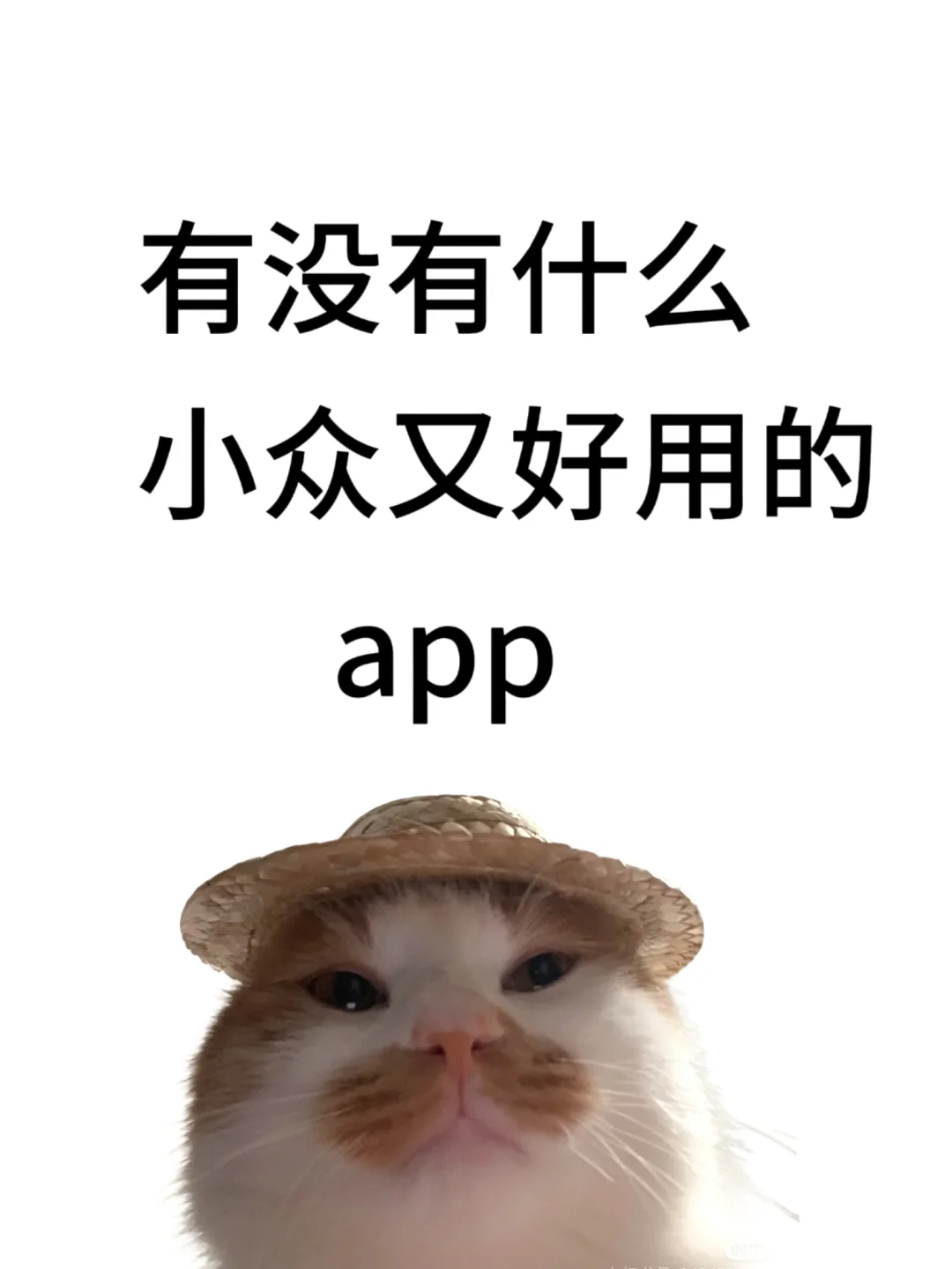 有没有什么小众又好用的APP呀