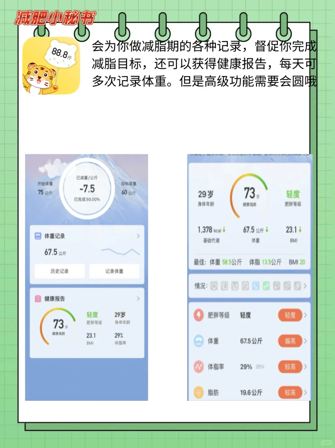 减肥app优缺点对比：哪款最适合你的减脂计