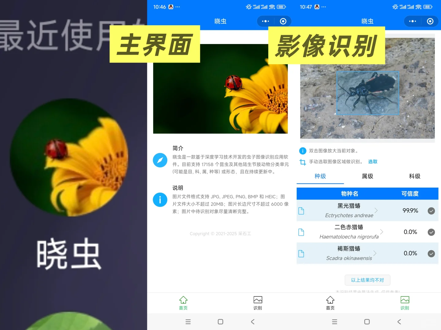 【软件推荐】如何查找一种动植物叫什么？