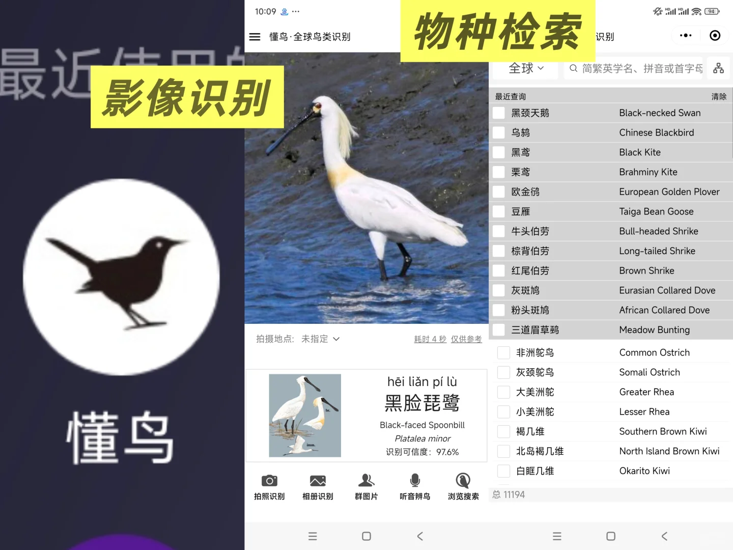 【软件推荐】如何查找一种动植物叫什么？