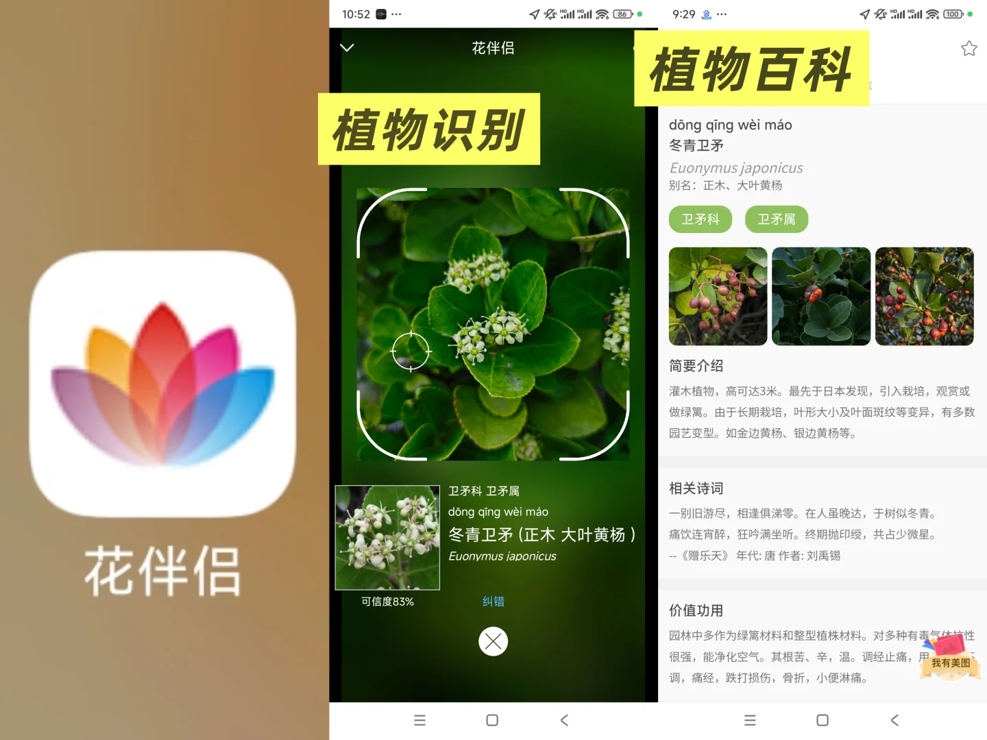 【软件推荐】如何查找一种动植物叫什么？