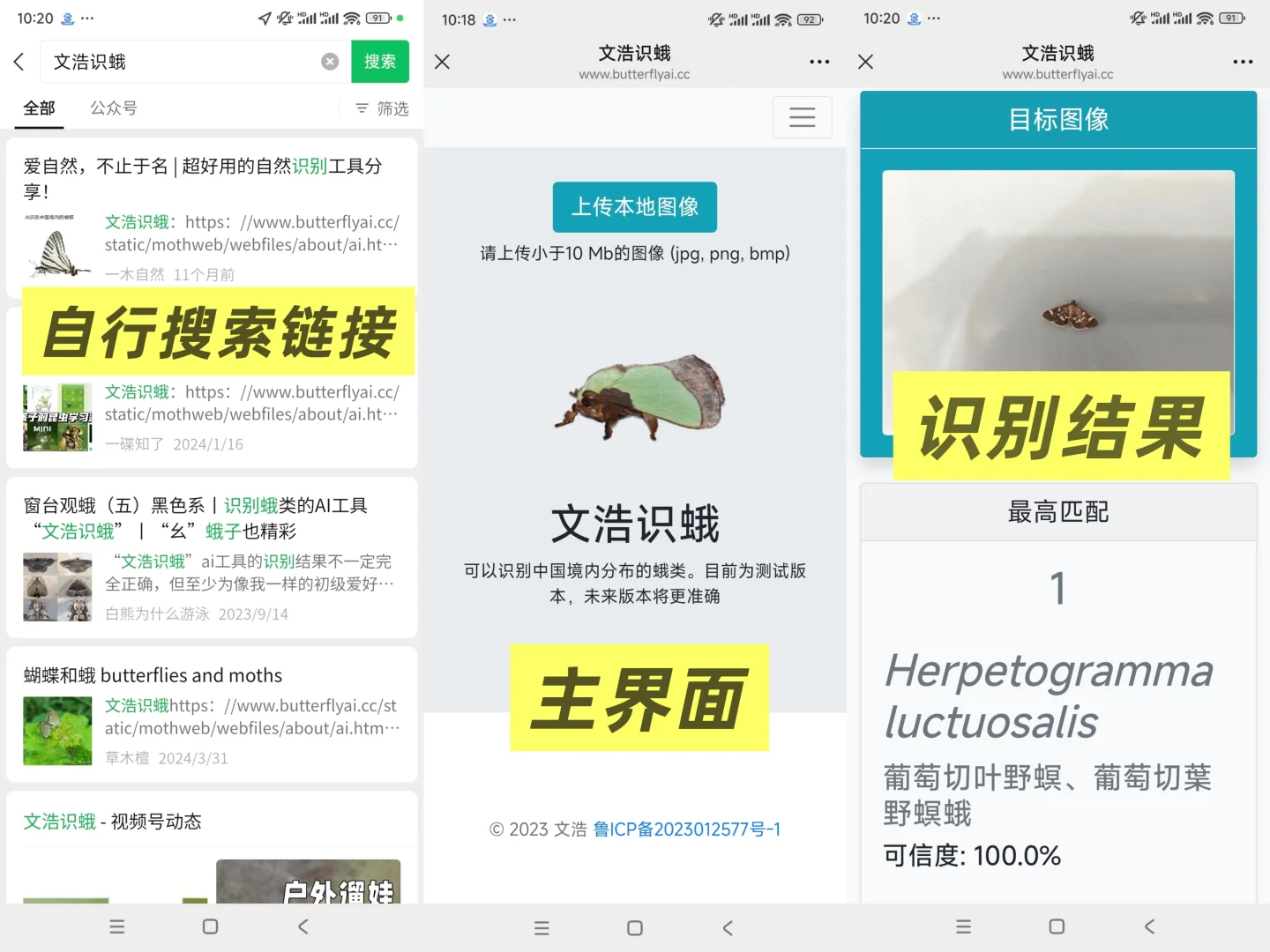 【软件推荐】如何查找一种动植物叫什么？