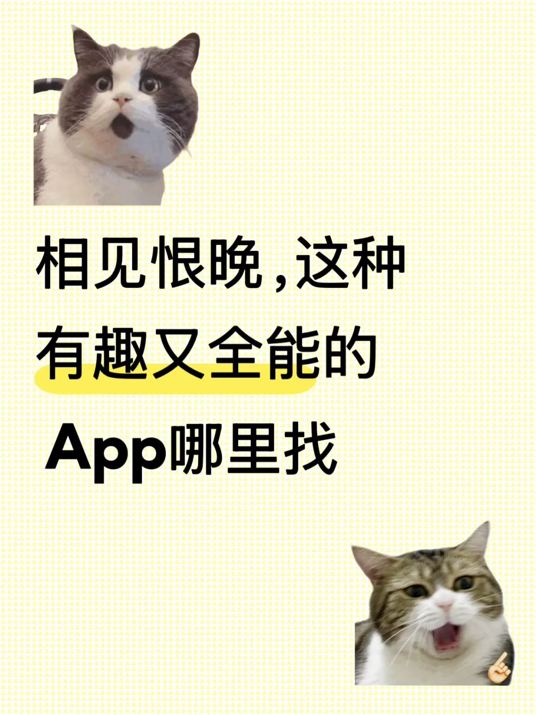 相见恨晚！这种有趣又全能的App哪里找❗