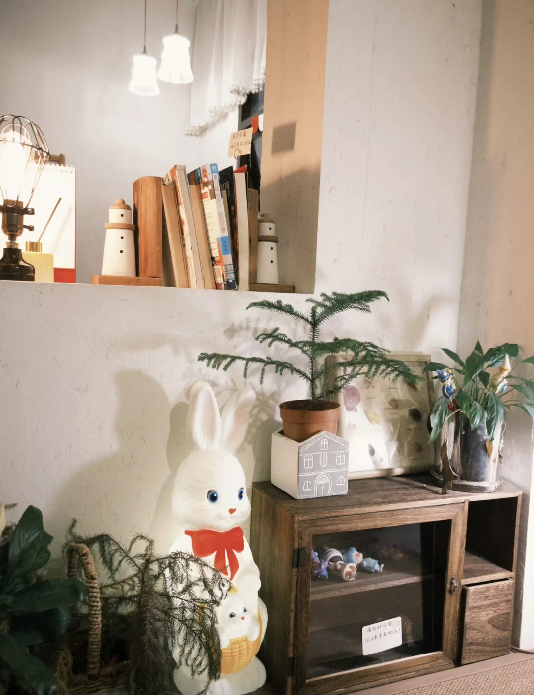 dazz会员！白嫖！