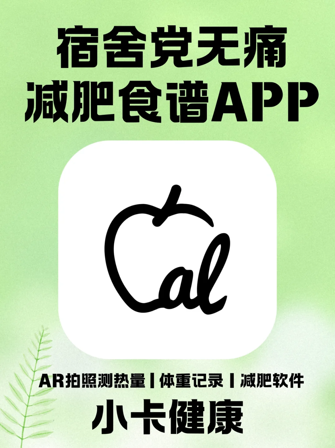 夏天不藏肉!宿舍党无痛减肥食谱APP