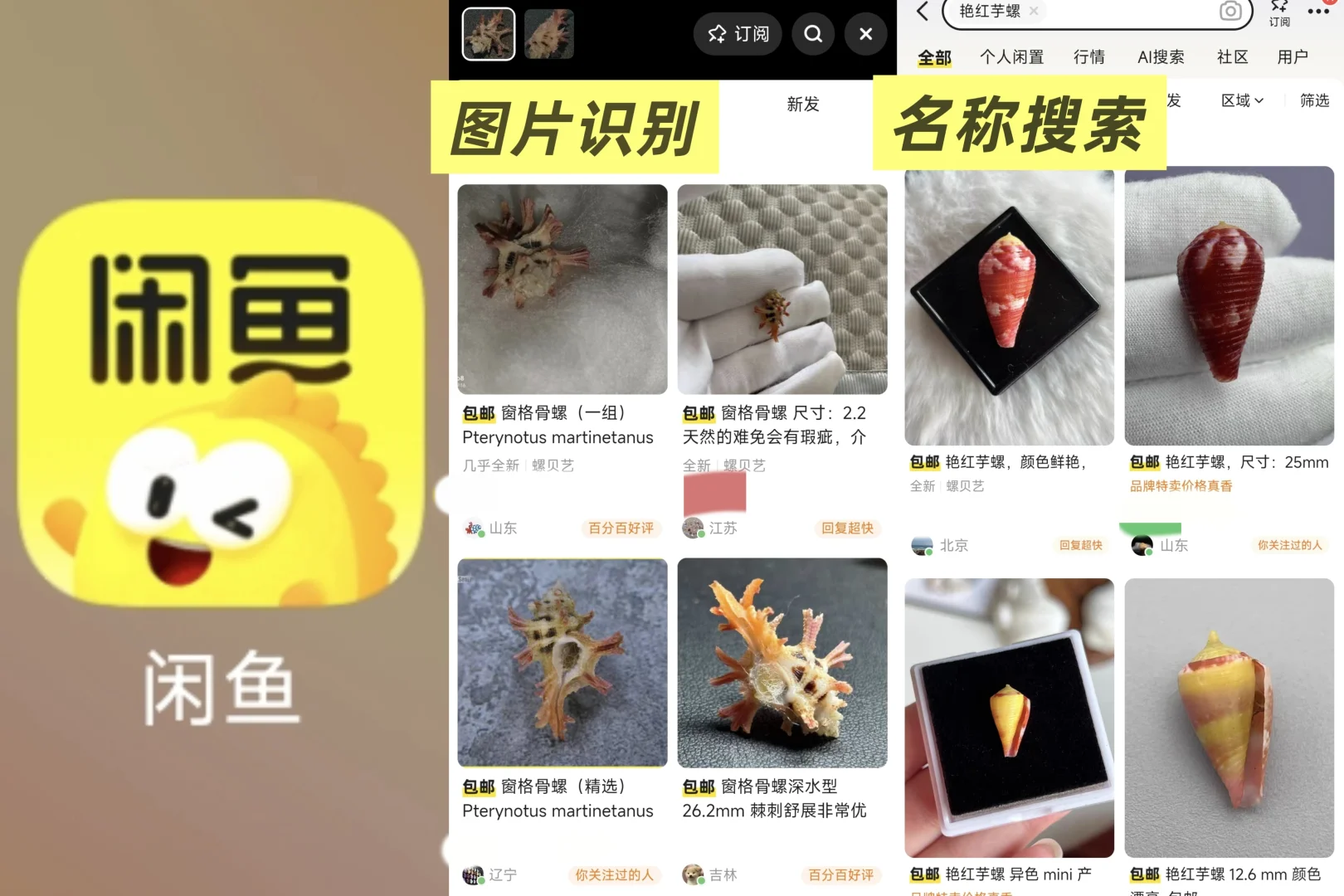 【软件推荐】如何查找一种动植物叫什么？