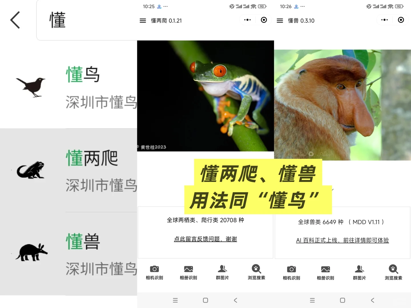 【软件推荐】如何查找一种动植物叫什么？