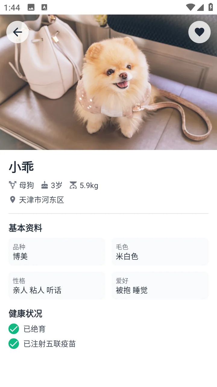 安卓AndroidStudio 宠物领养App源码+报告