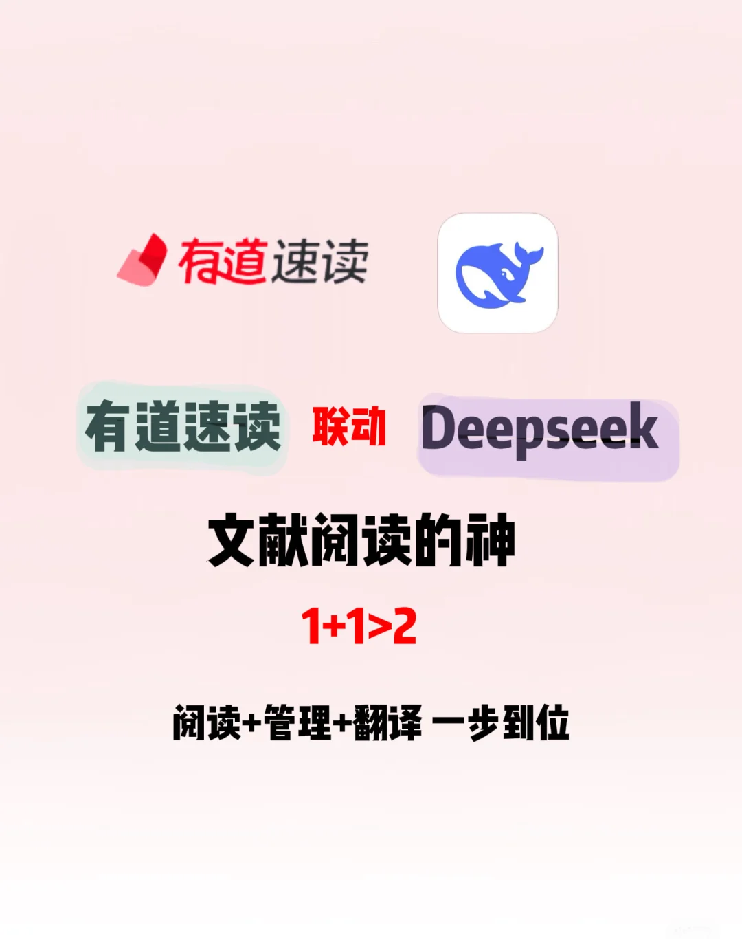 备战直博，终于学会有道速读和Deepseek联动