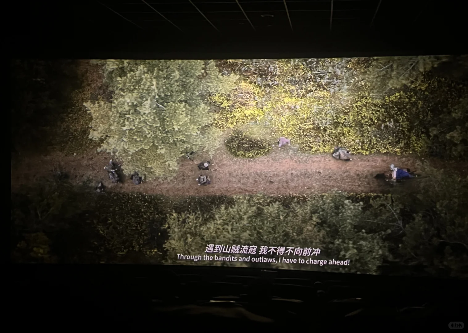 《 长安的荔枝 》