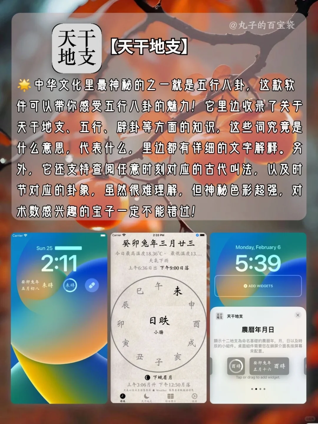 几款国风味十足的宝藏APP🏮🏮🏮