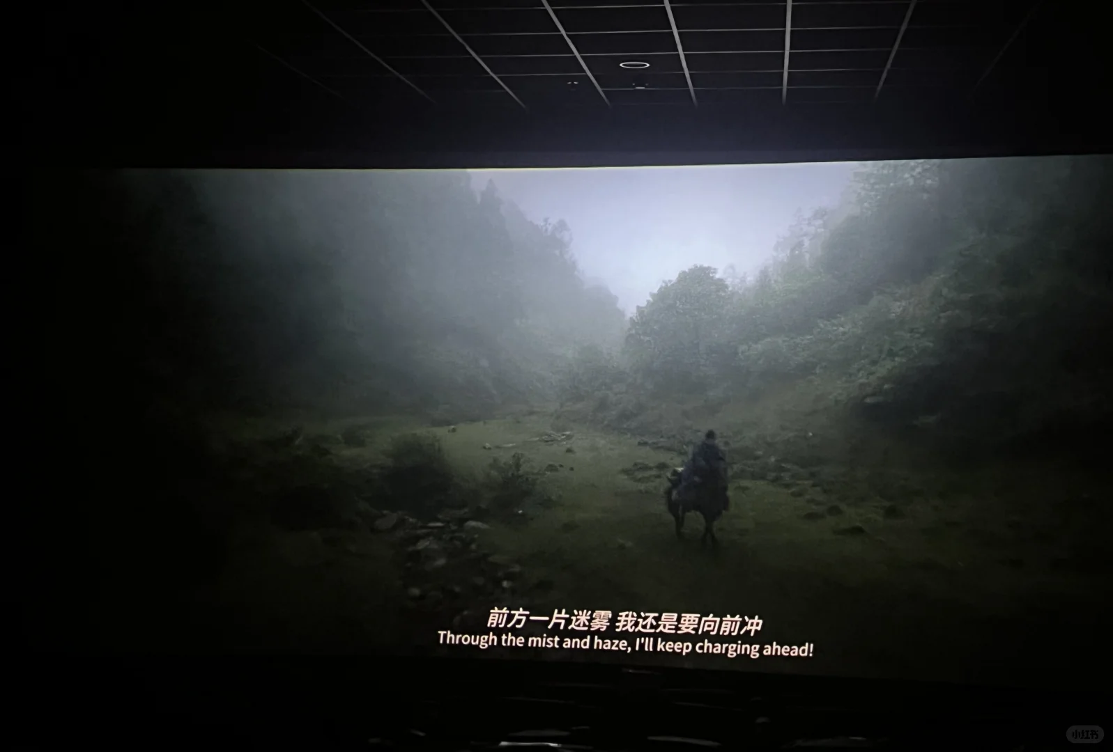 《 长安的荔枝 》