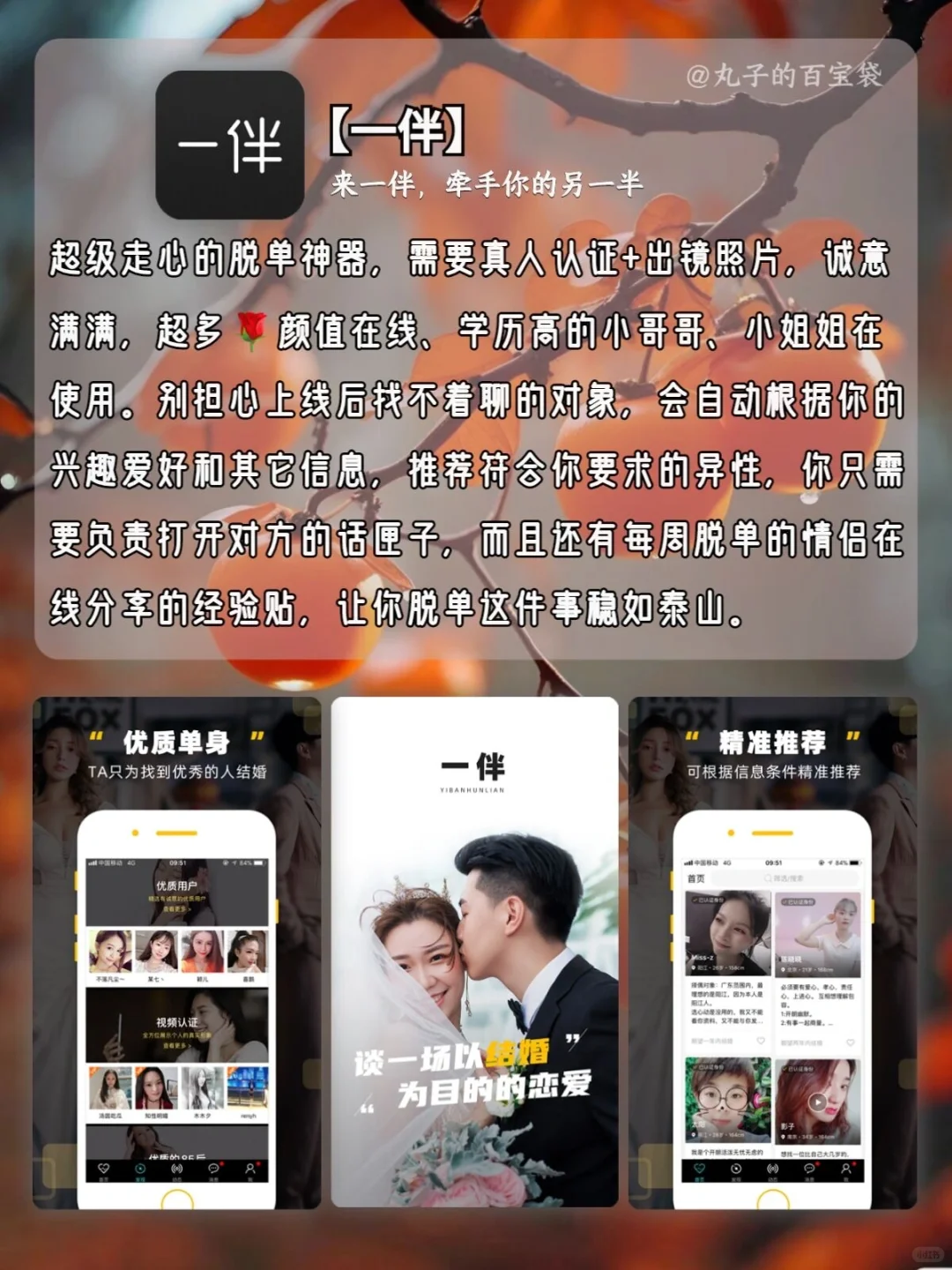 几款国风味十足的宝藏APP🏮🏮🏮