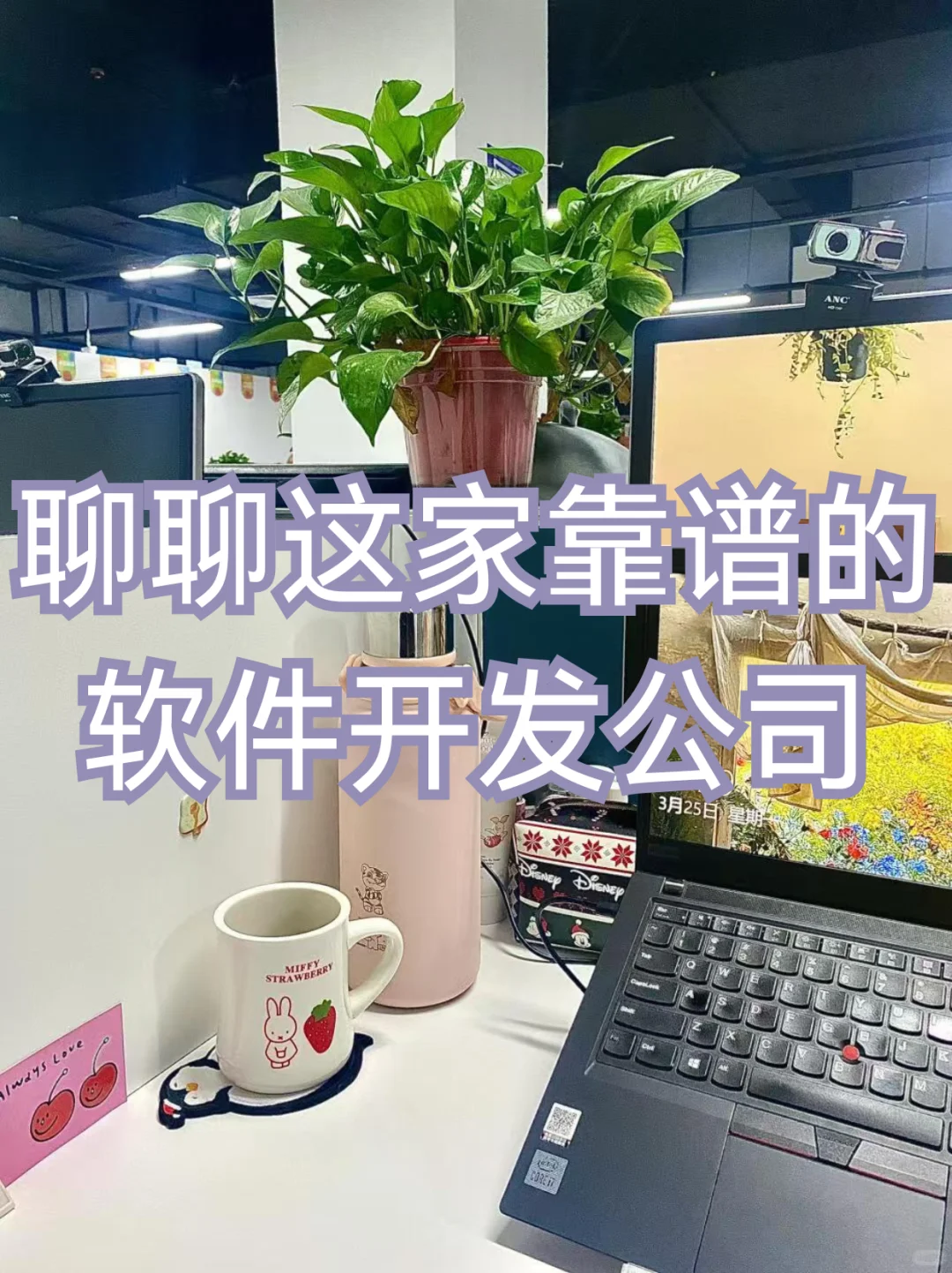 聊聊这家靠谱的软件开发公司