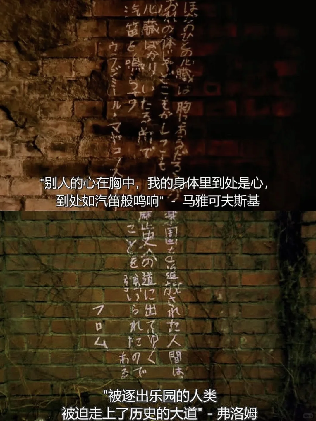 😭这么好看的电影我居然才发现！！！