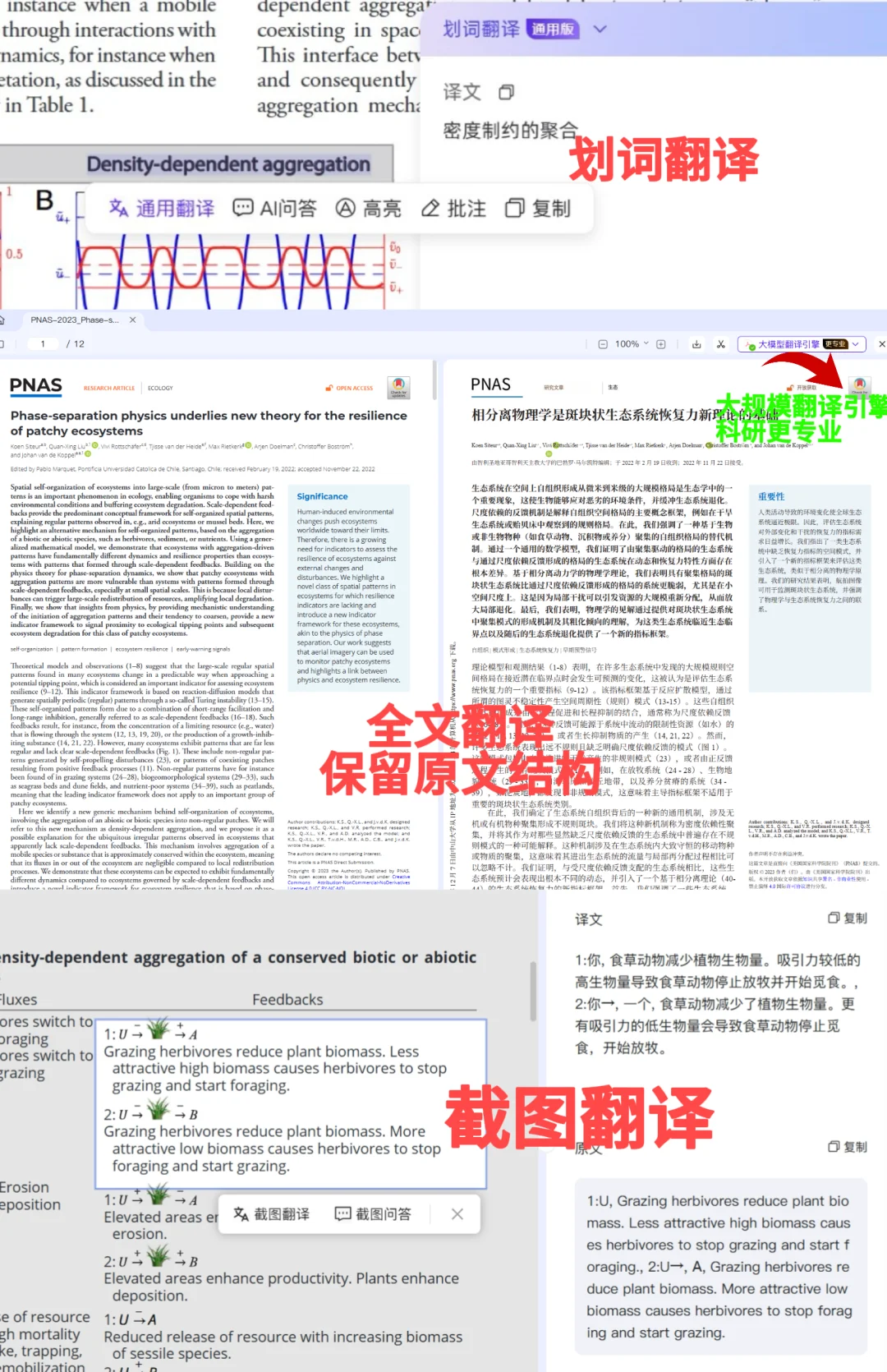 备战直博，终于学会有道速读和Deepseek联动