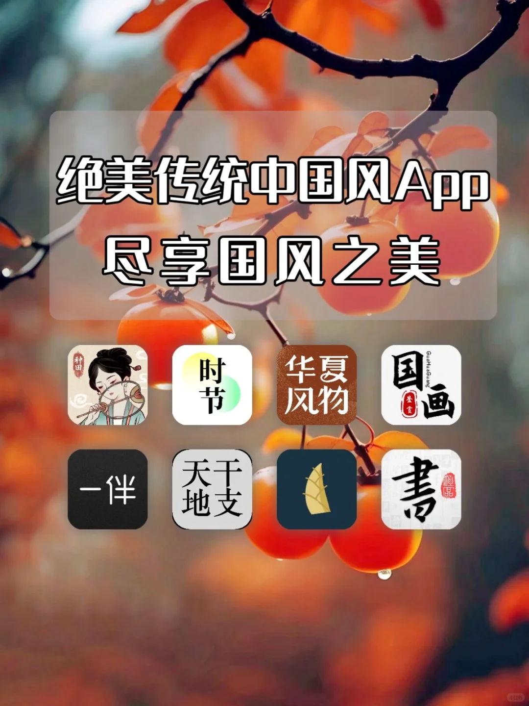 几款国风味十足的宝藏APP🏮🏮🏮