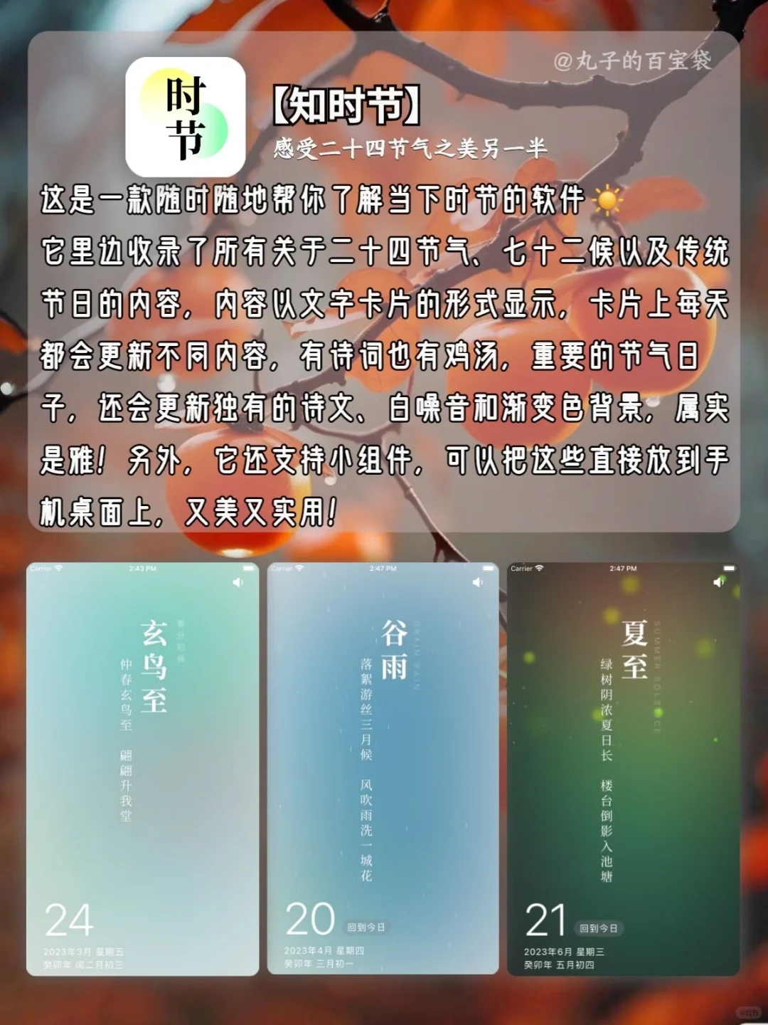 几款国风味十足的宝藏APP🏮🏮🏮