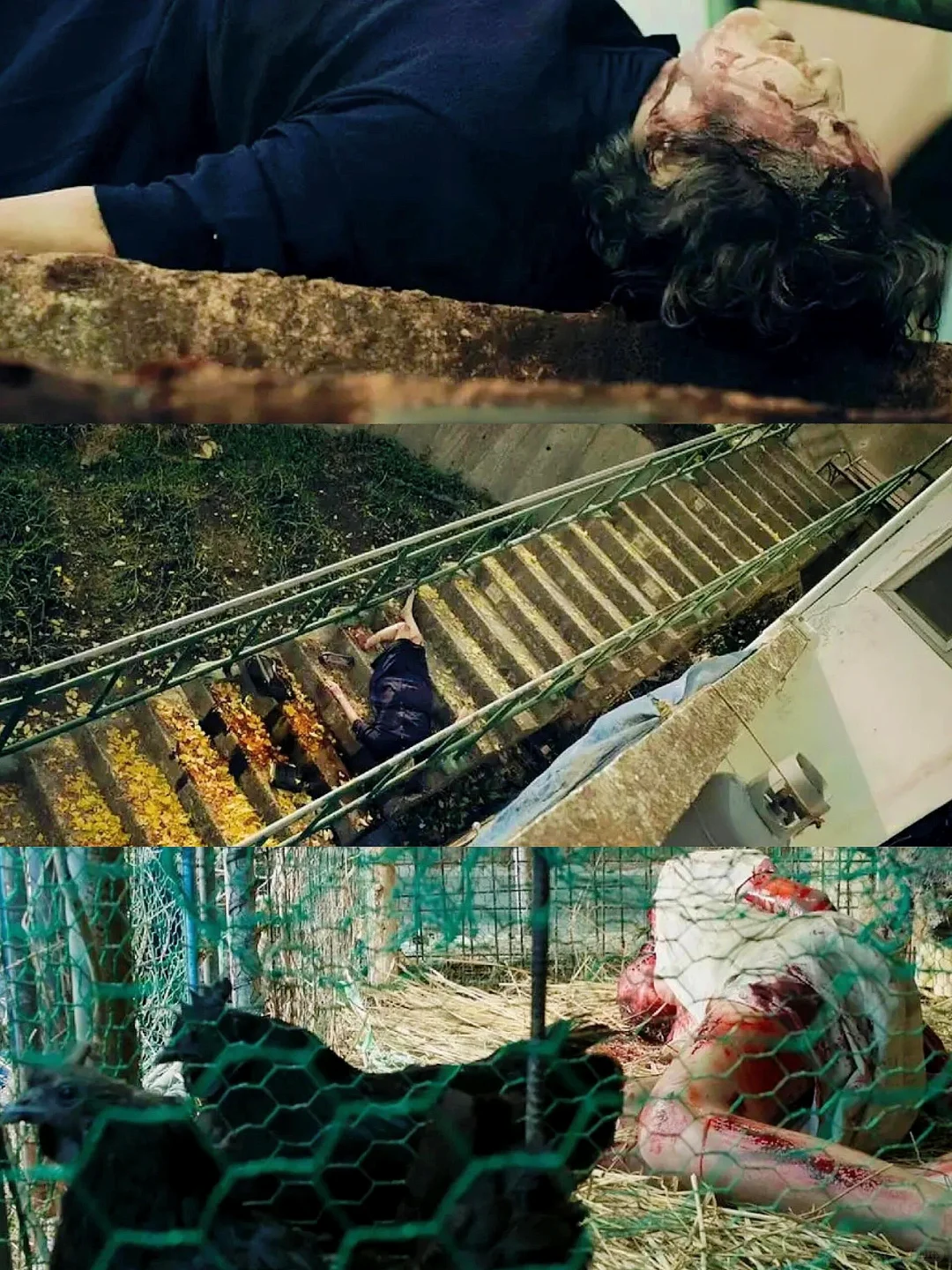 💥惊悚悬疑！超刺激的视觉盛宴！