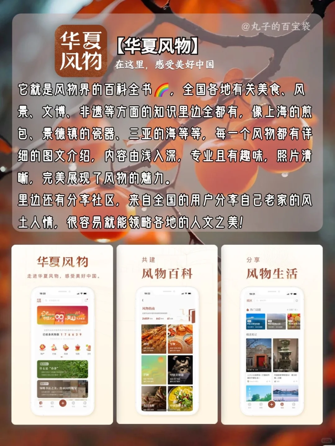 几款国风味十足的宝藏APP🏮🏮🏮