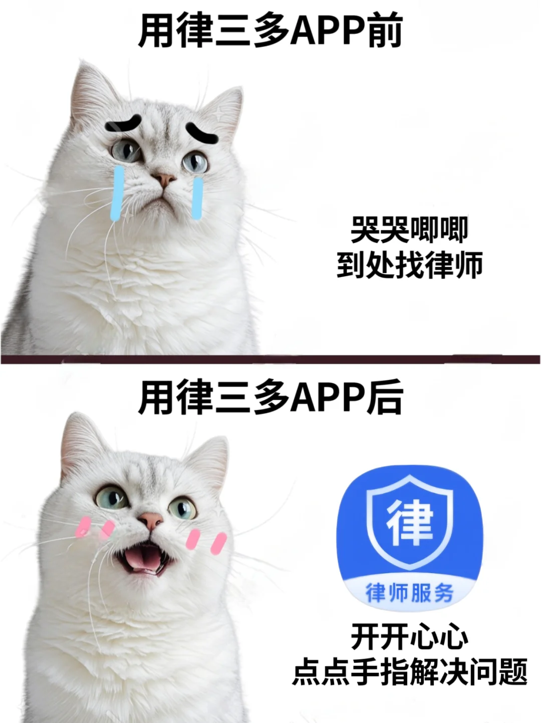 爱了爱了！❤️有了它，轻松解决法律问题！