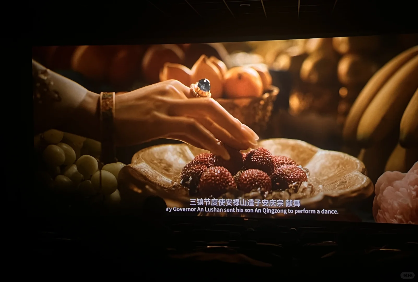 《 长安的荔枝 》