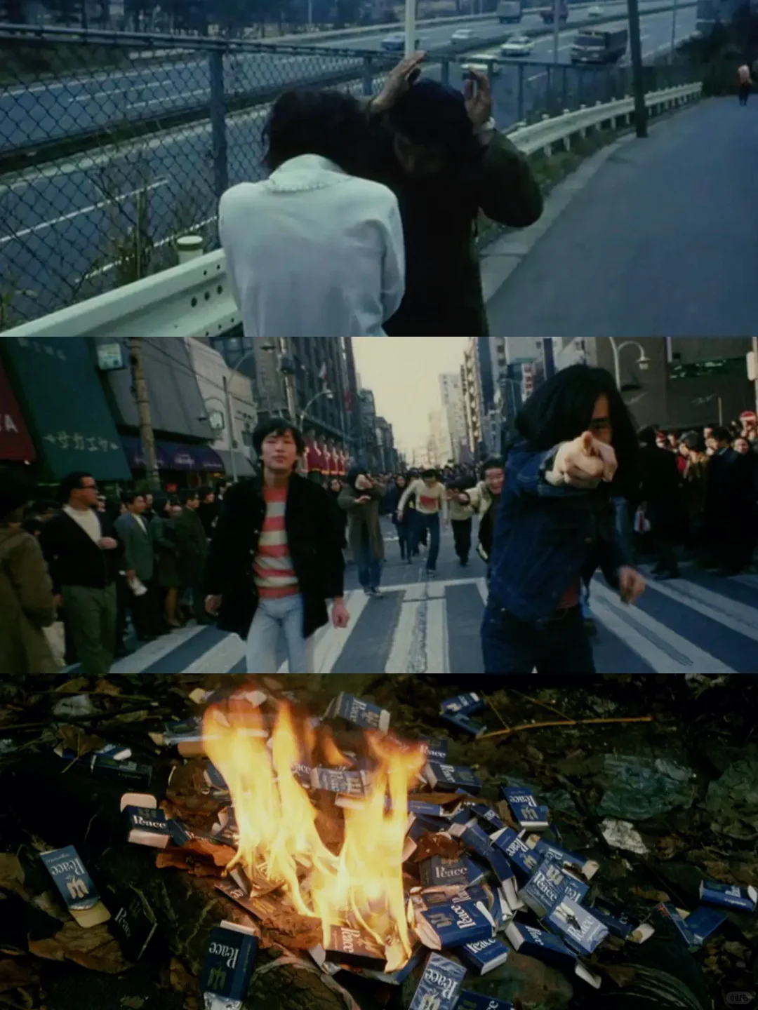 😭这么好看的电影我居然才发现！！！