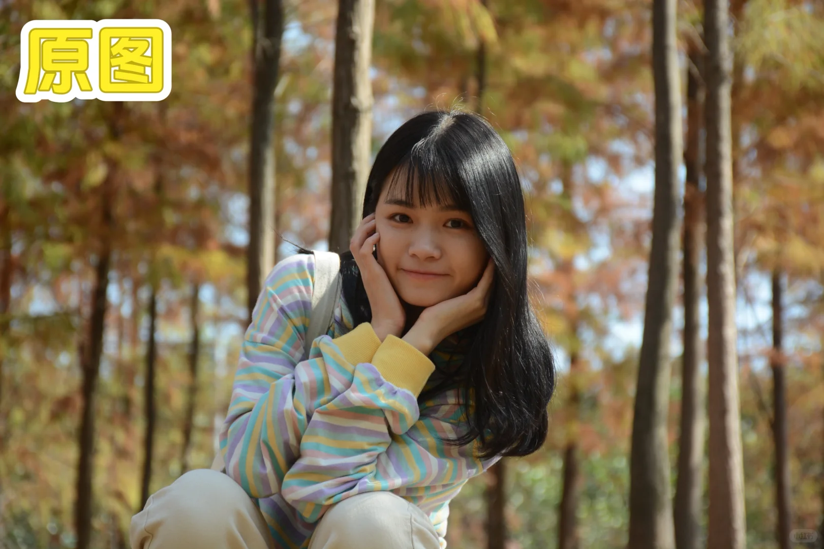 像素蛋糕🍎手机app终于来了！