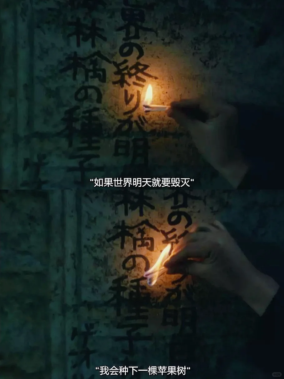 😭这么好看的电影我居然才发现！！！