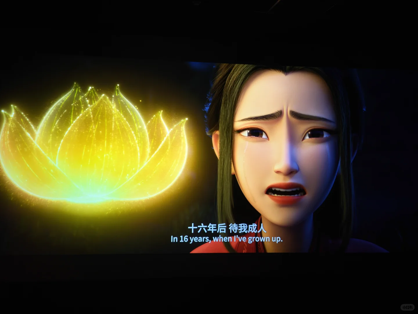 现在!马上!就去看聊斋!