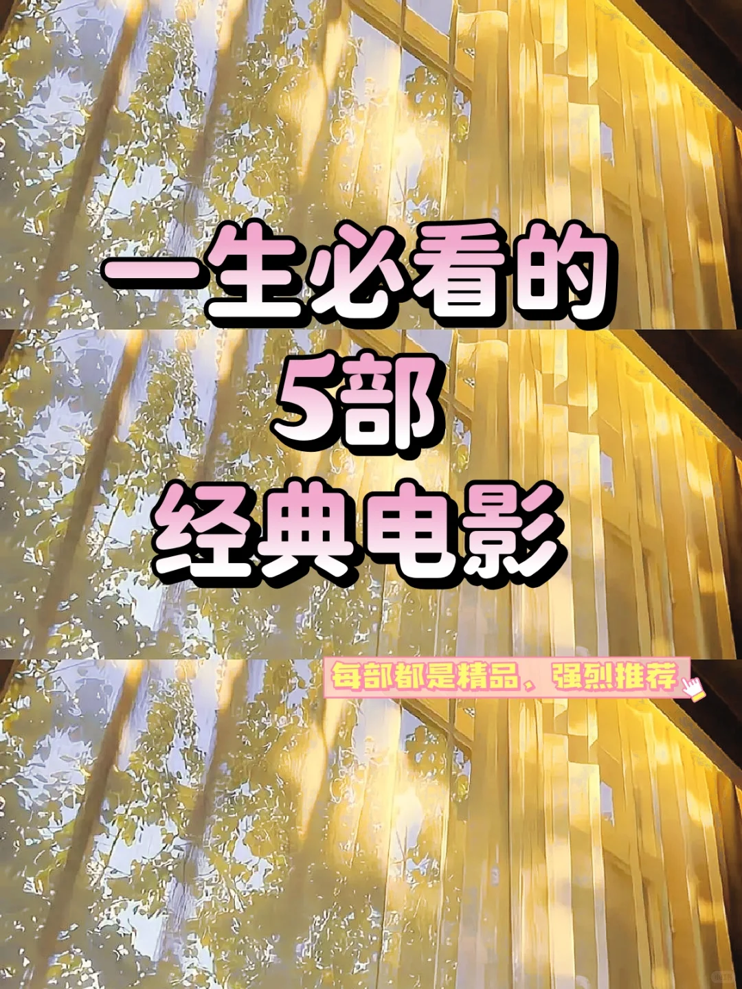 这5部电影我愿称为人生灯塔级神作