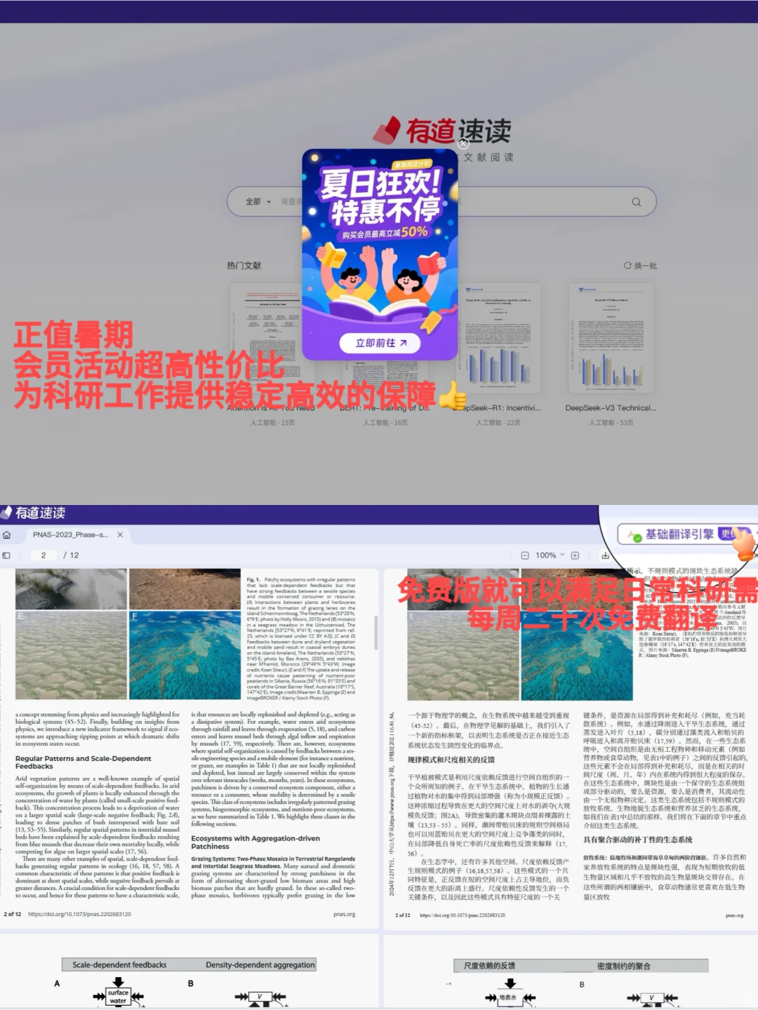 备战直博，终于学会有道速读和Deepseek联动