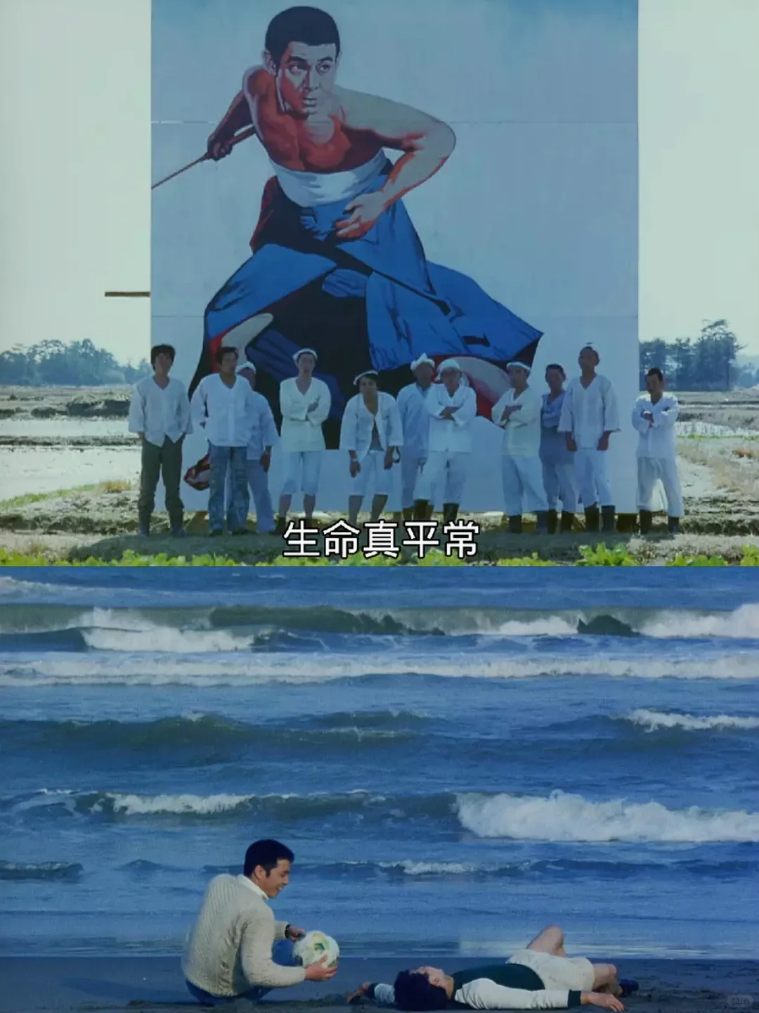 😭这么好看的电影我居然才发现！！！