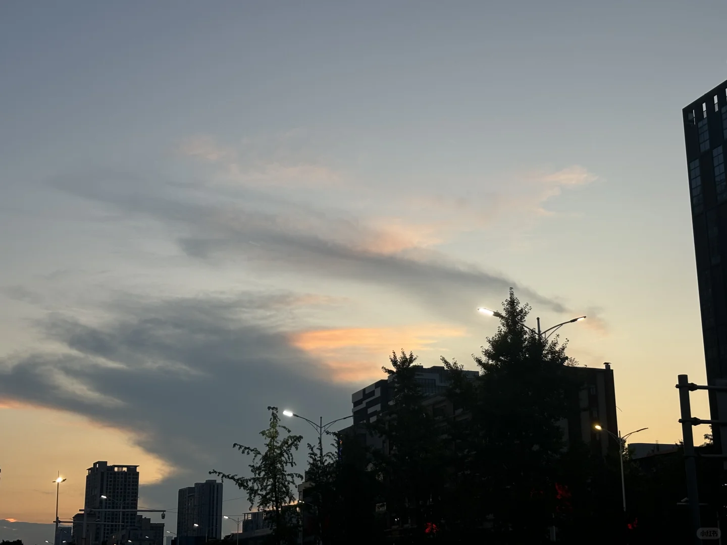 特教老师爱用的app