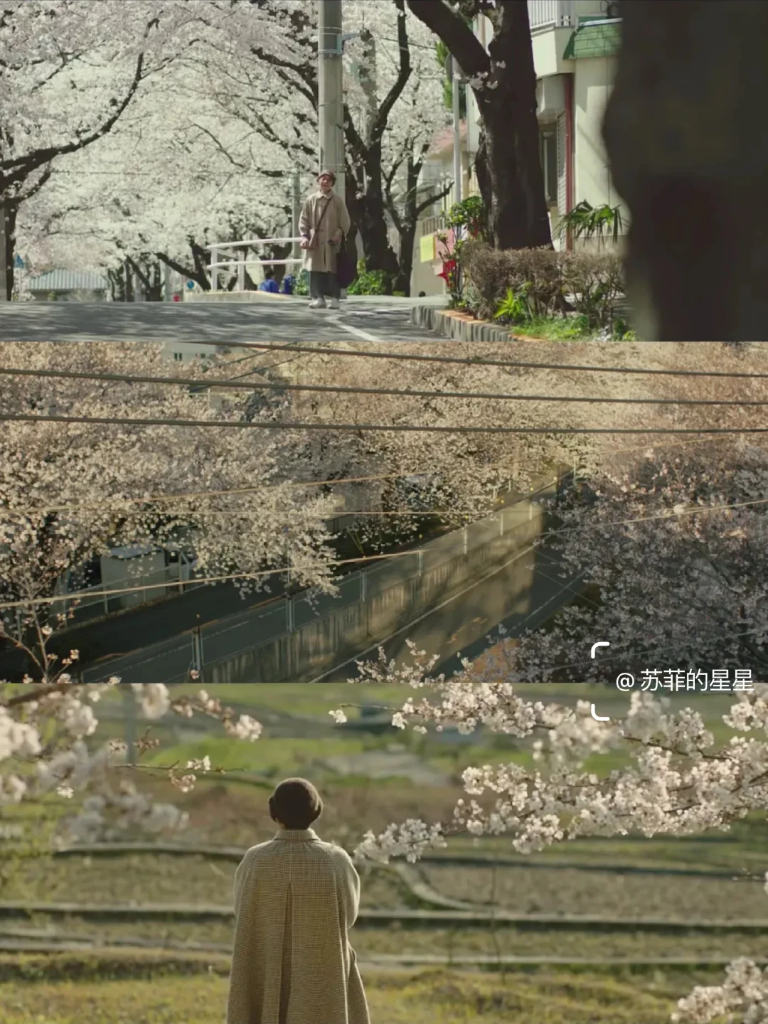 哭到泪崩😭今年看过最好看的电影❗❗❗