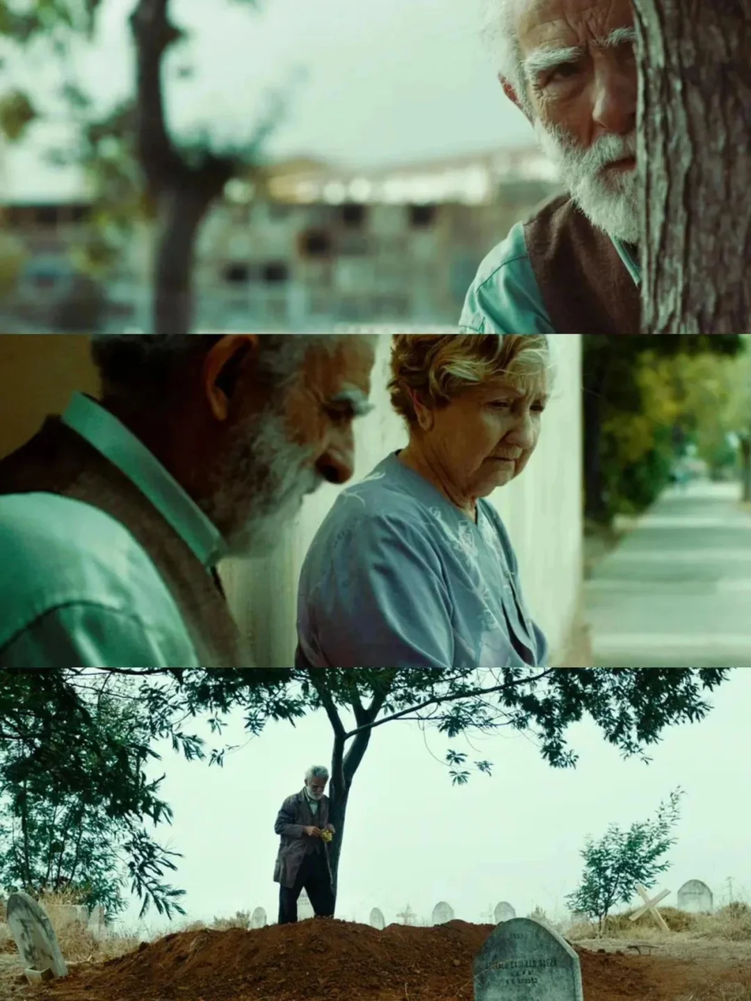 没有之一❗️后劲最大的电影😭太震撼了‼️