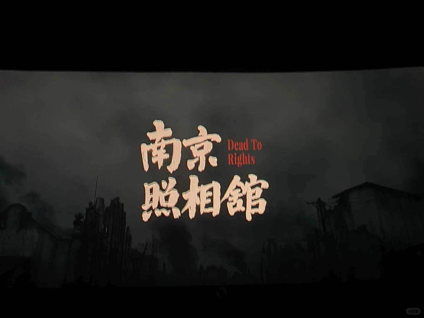 电影🎬南京照相馆