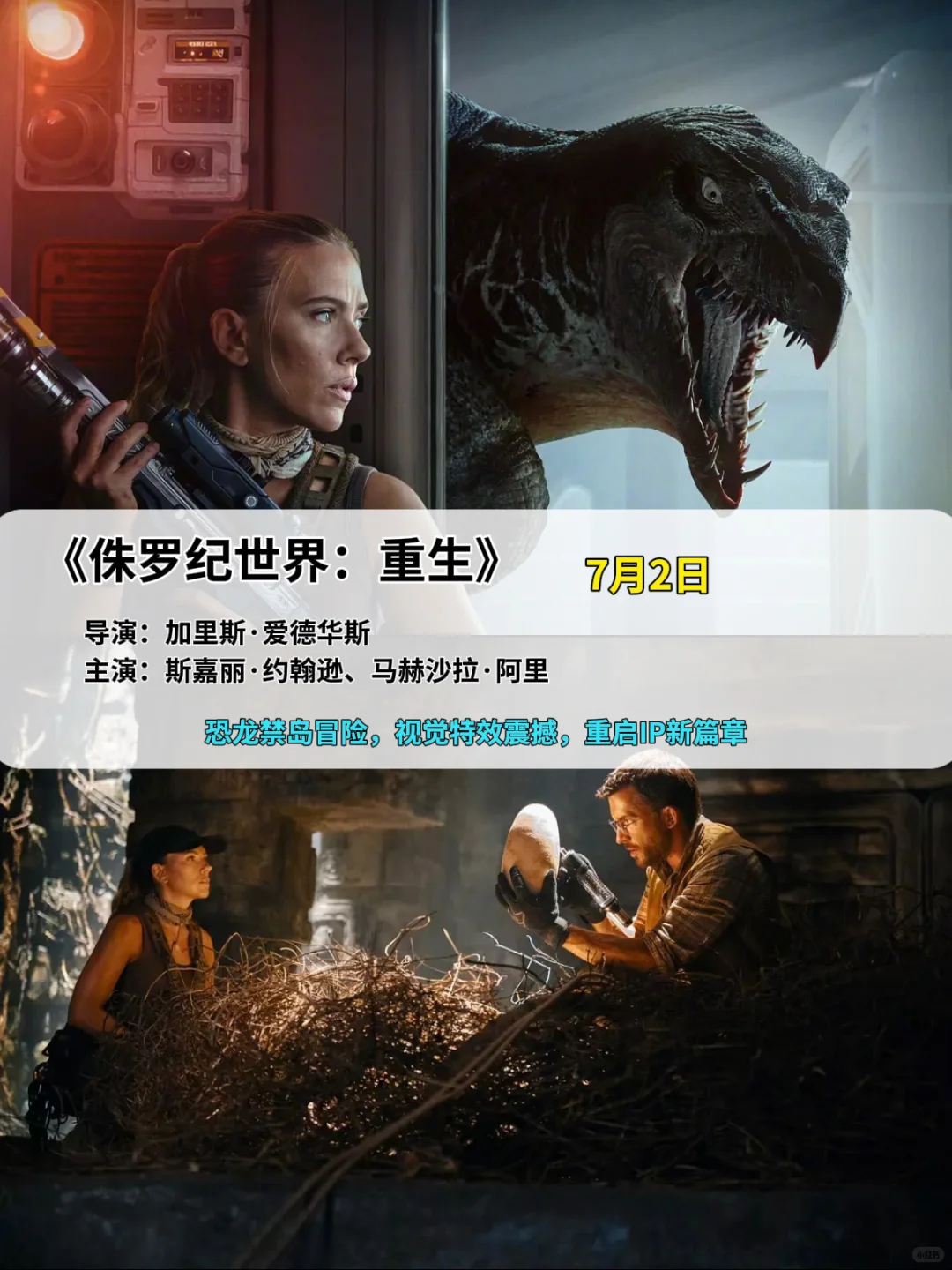 2025年暑期档上映的电影，你最期待哪一部？