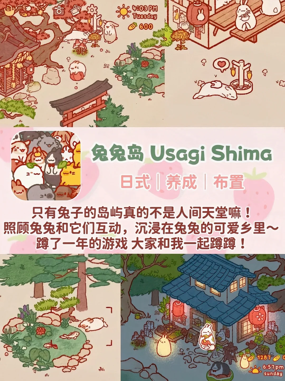 小动物们太治愈了！超可爱模拟经营游戏合集