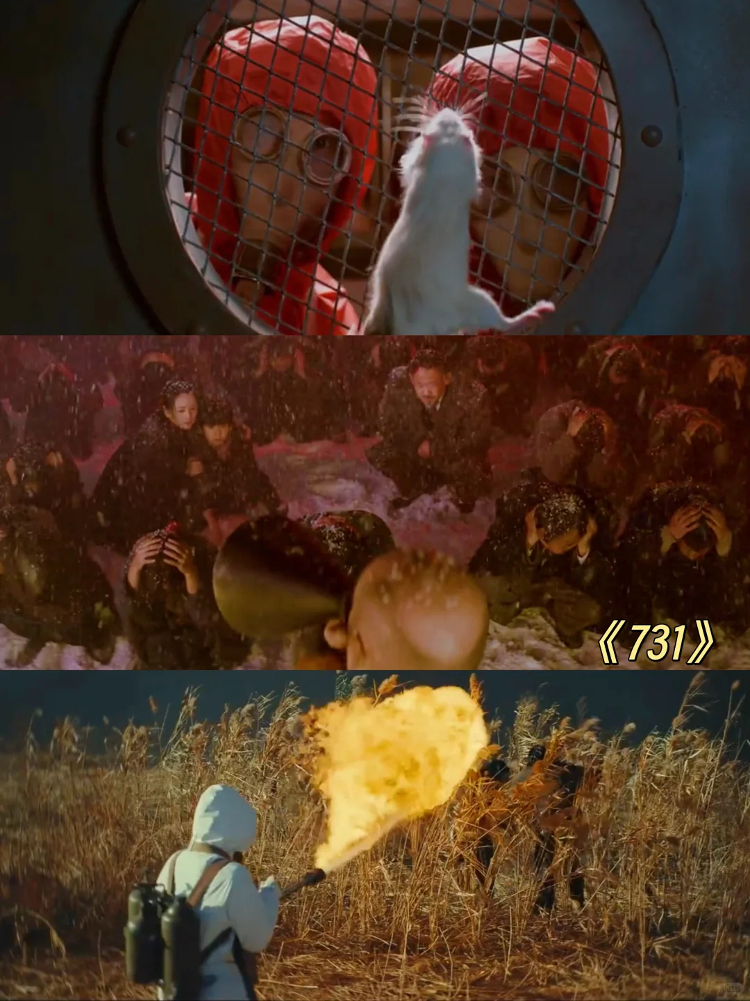 蛙趣❗️今年居然有这么多暑期档电影‼️