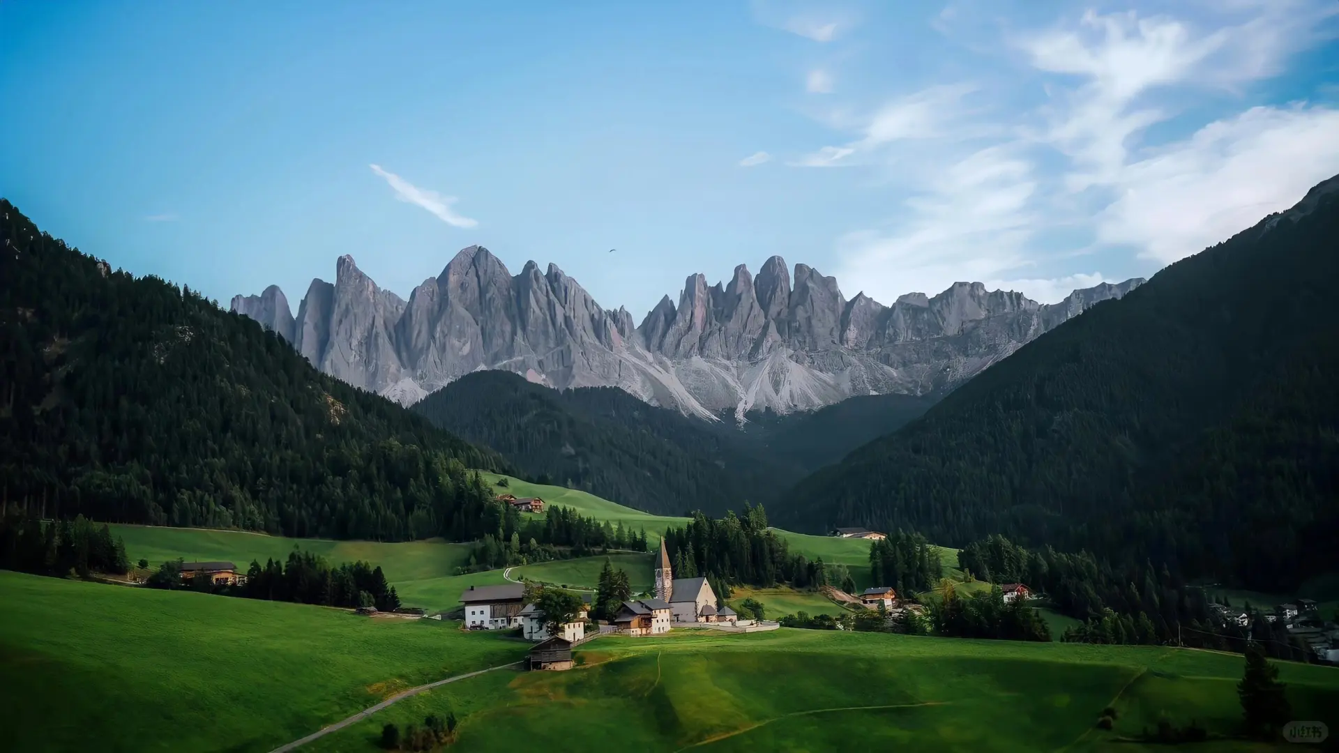 想象中的暑假被这40部电影改变了