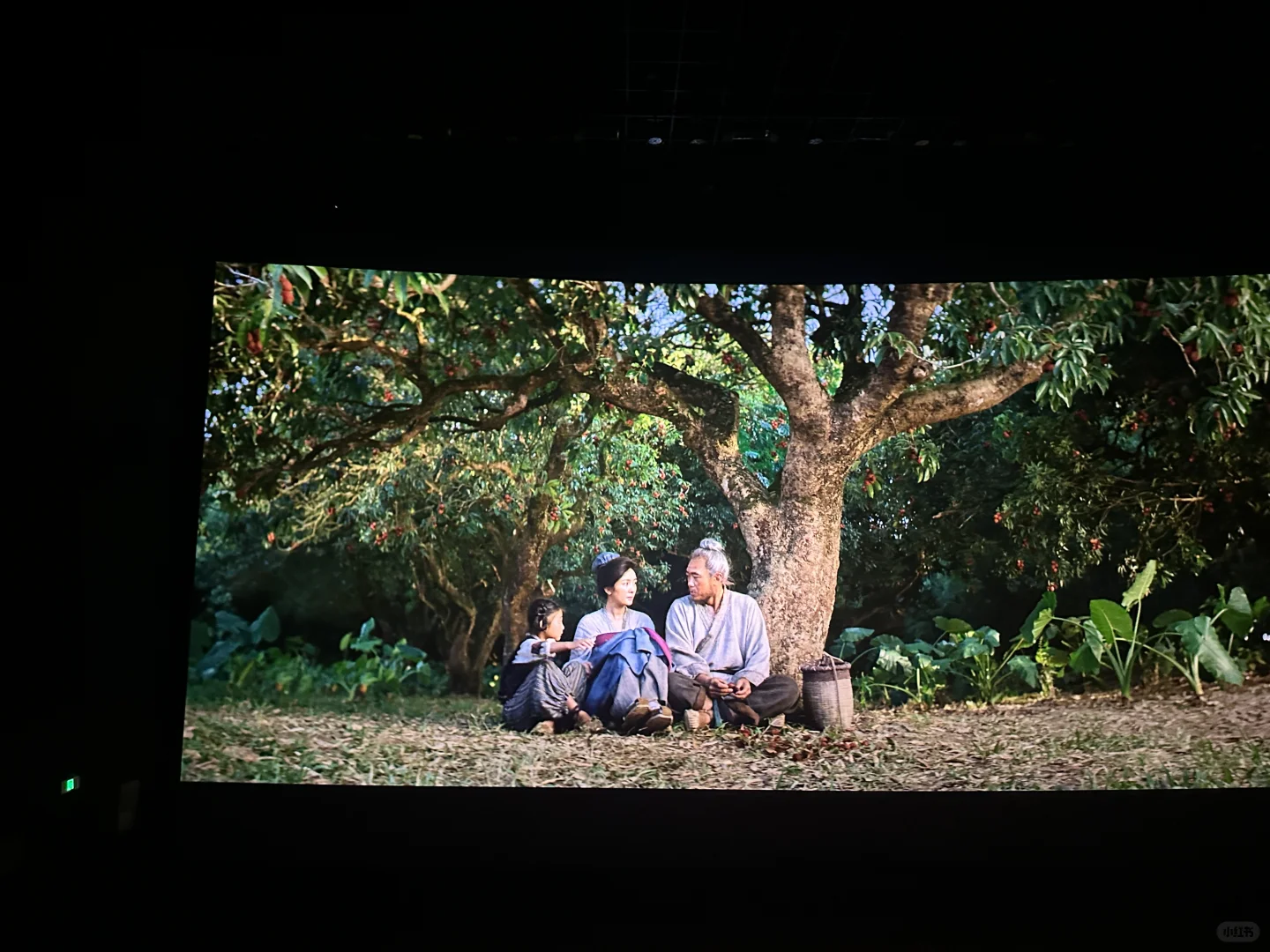 长安的荔枝-一部古代职场真实写照