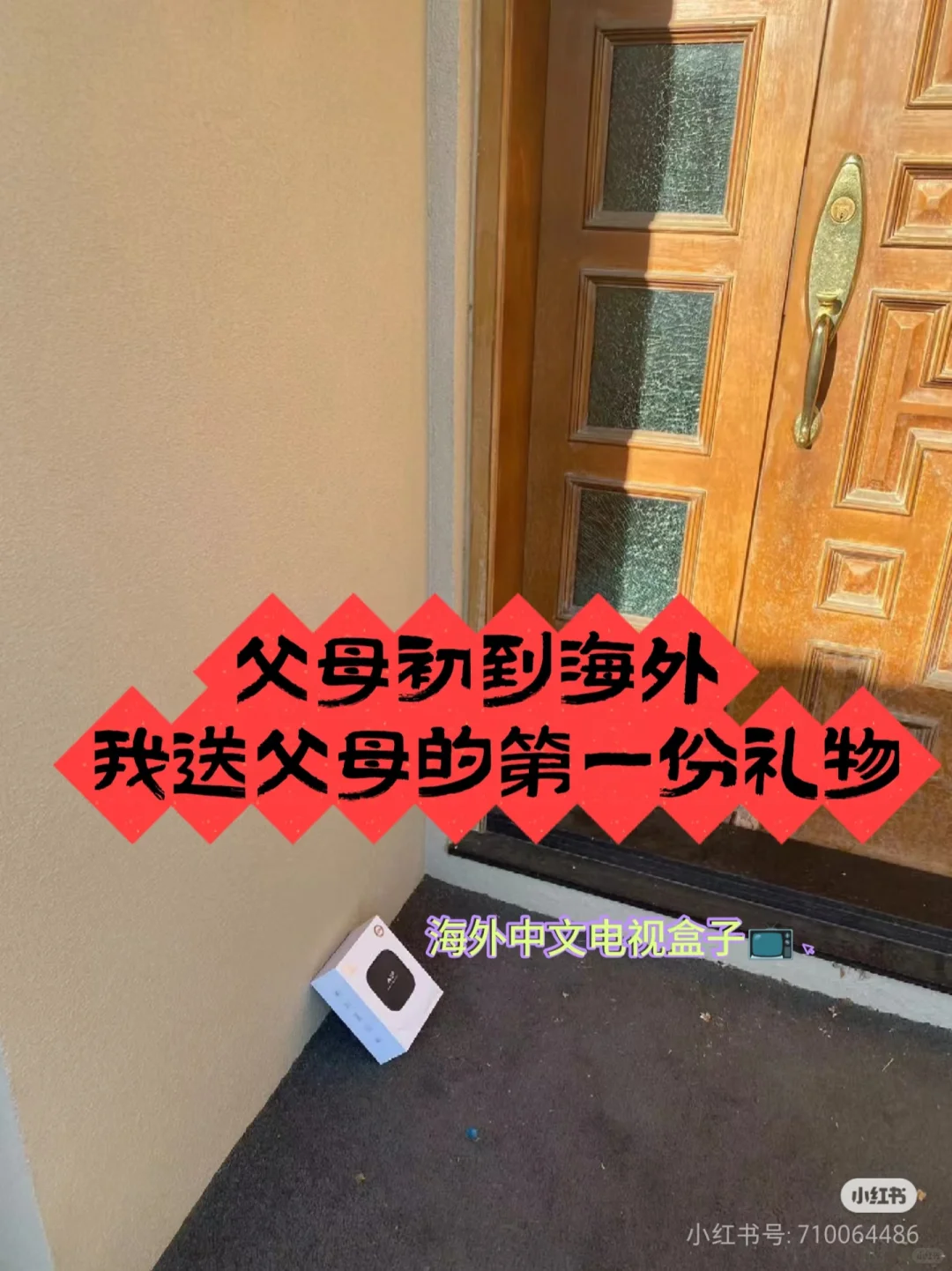 父母初到海外，我送父母的第一份礼物-小黑