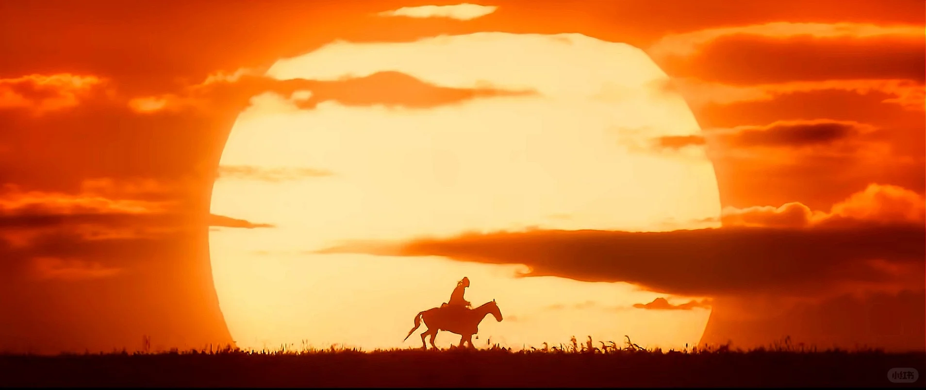 《长安的荔枝》杂感（原著与电影对比篇）